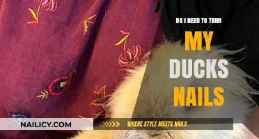 Trimming Your Duck's Nails: When and Why You Should Do It