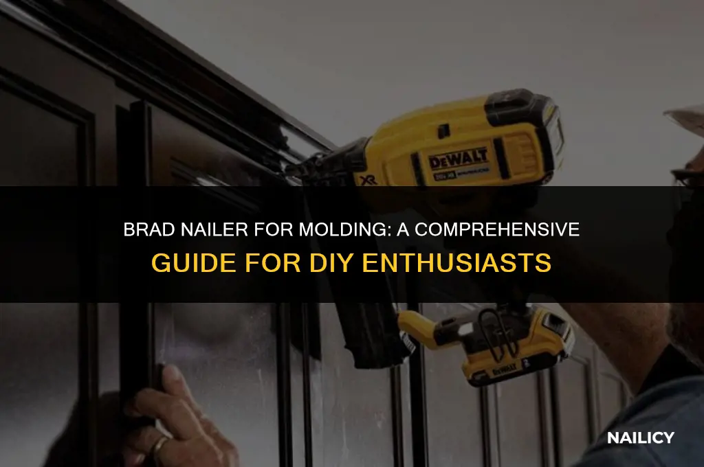 do i use a brad nailer to put up molding