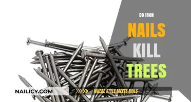 Do Iron Nails Harm Trees? Uncovering the Truth and Myths