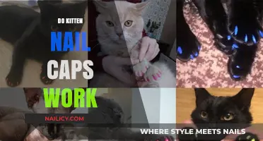 Do Kitten Nail Caps Work? A Comprehensive Guide for Pet Owners