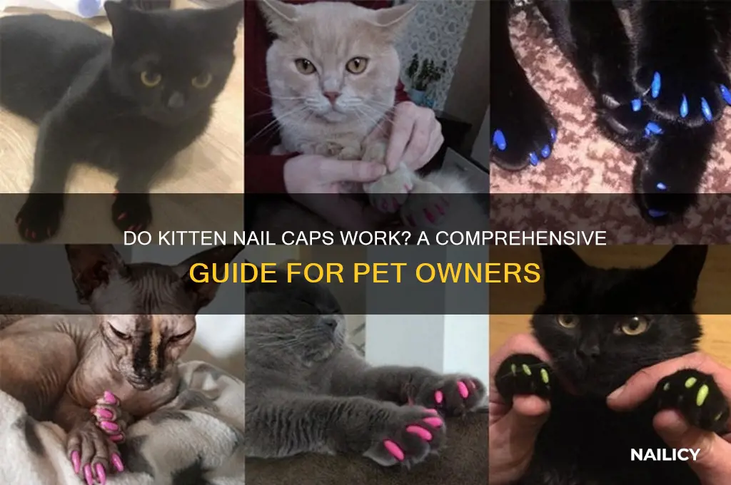 do kitten nail caps work