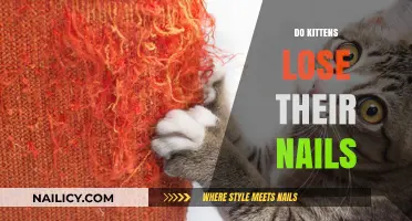 Do Kittens Lose Their Nails? Understanding Feline Claw Development