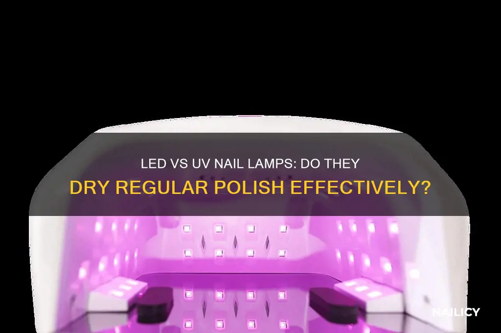 do led and uv nail lamps dry reg