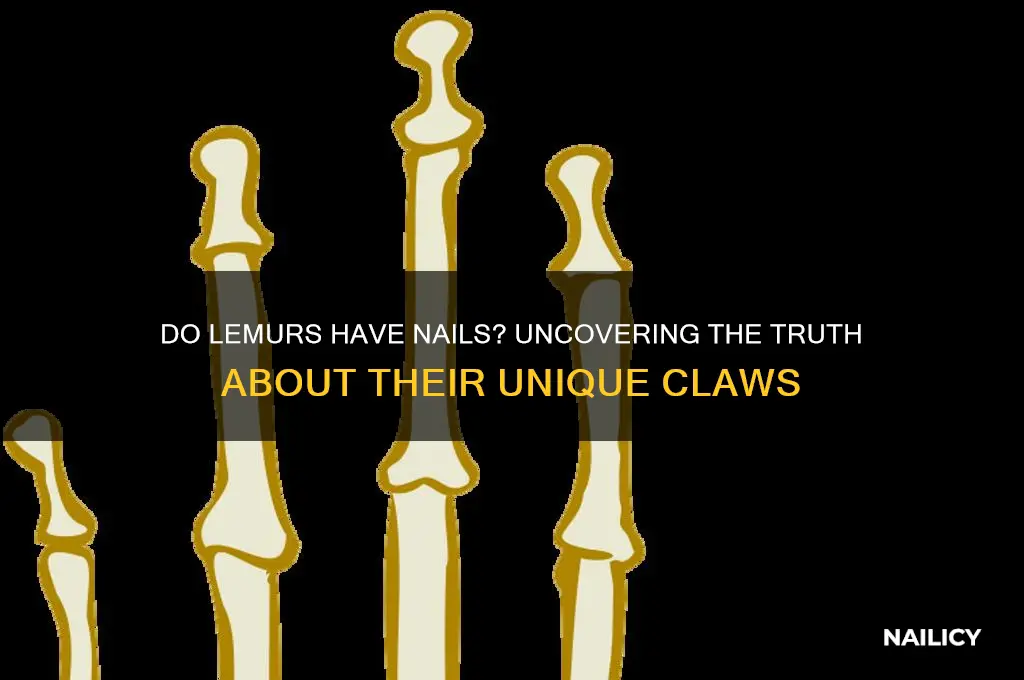 do lemurs have nails