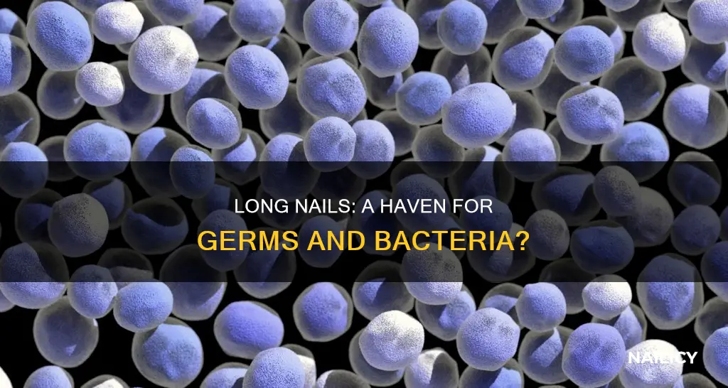 do long nails carry germs