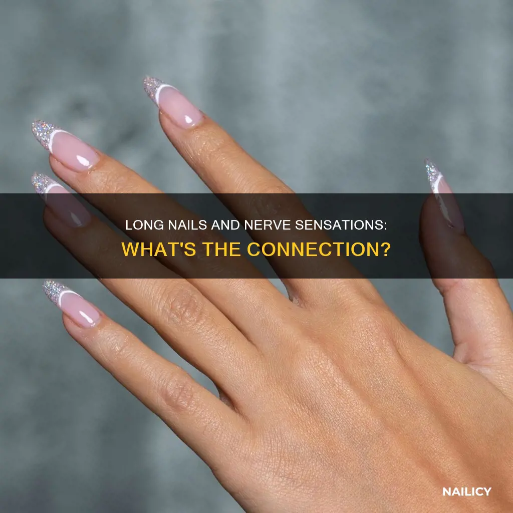 do long nails have nerves