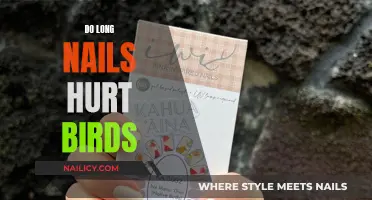 Long Nails and Birds: A Painful Mix?