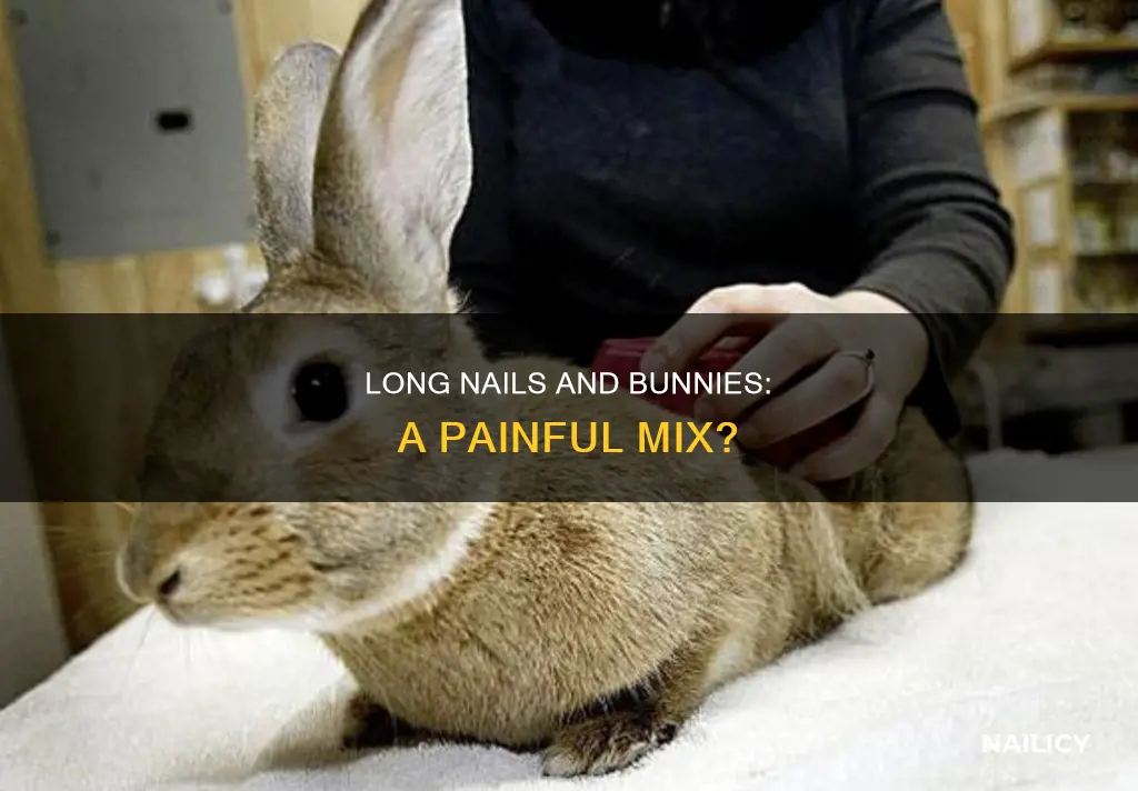do long nails hurt bunnies