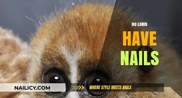 Do Loris Have Nails? Unveiling the Truth About Their Unique Claws