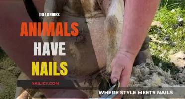 Do Lorry Animals Have Nails? Uncovering the Truth About Hooves and Claws