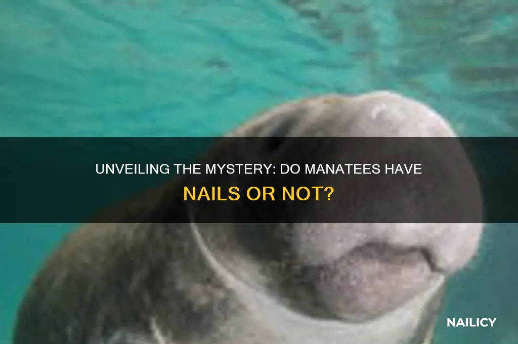 do manatees have nails