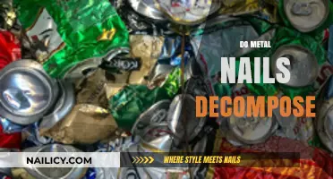 Do Metal Nails Decompose? Exploring Their Longevity and Environmental Impact