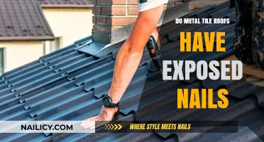 Metal Tile Roofs: Exposed Nails or Hidden Fasteners?
