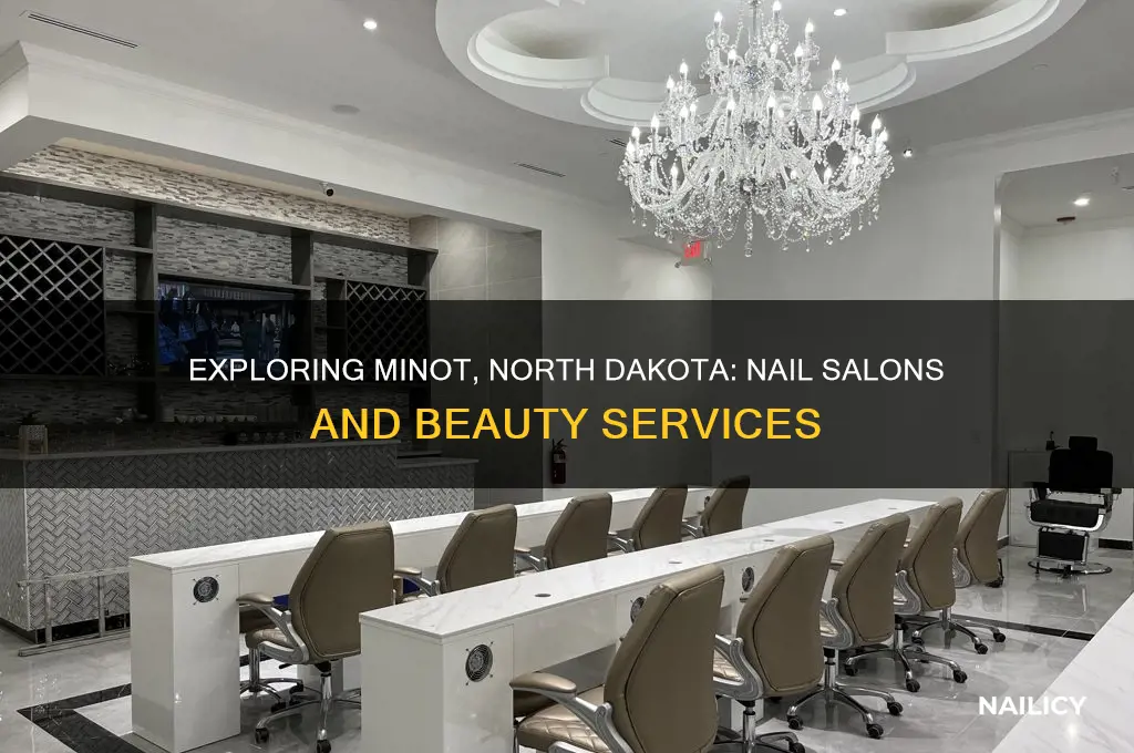 do minot north dakota have nail salons