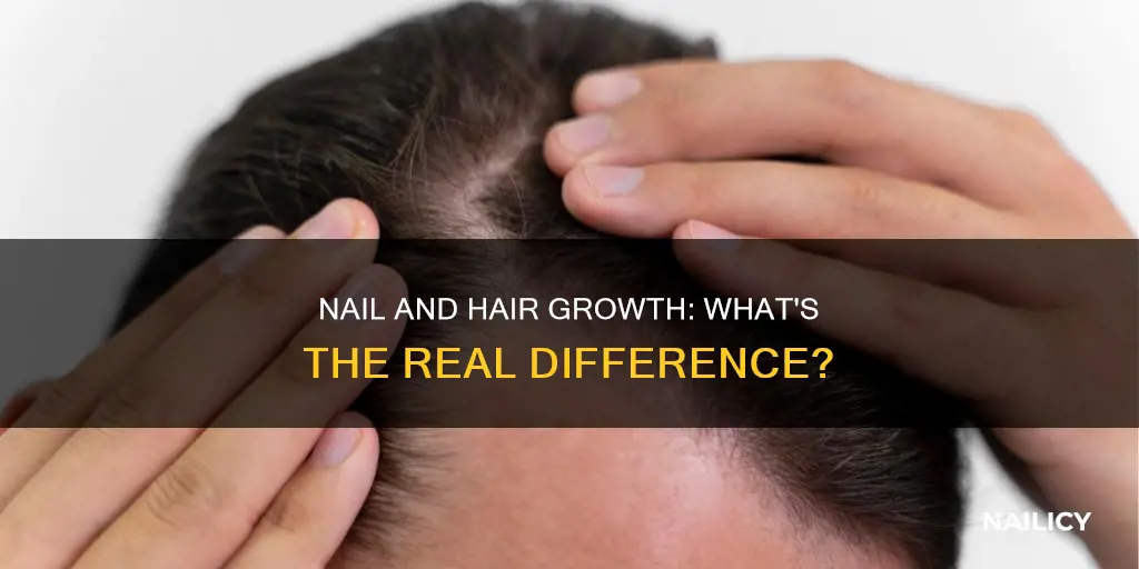 do my nails and hair grow at the same rate