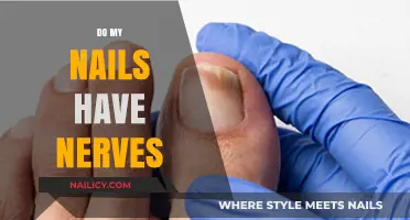 Do Nails Have Nerves? Uncovering the Sensitivity of Your Fingertips