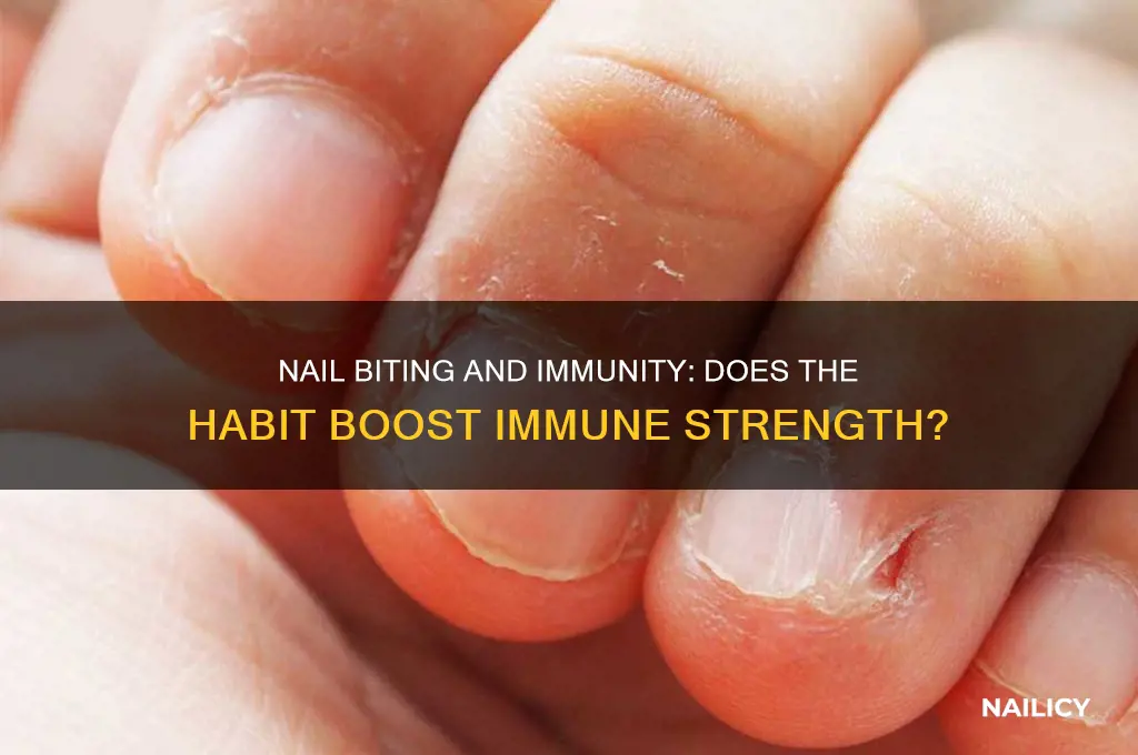 do nail biters have a stronger immune system