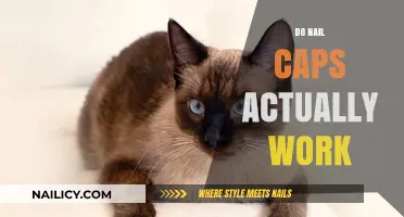 Do Nail Caps Work? Uncovering the Truth Behind This Pet Trend