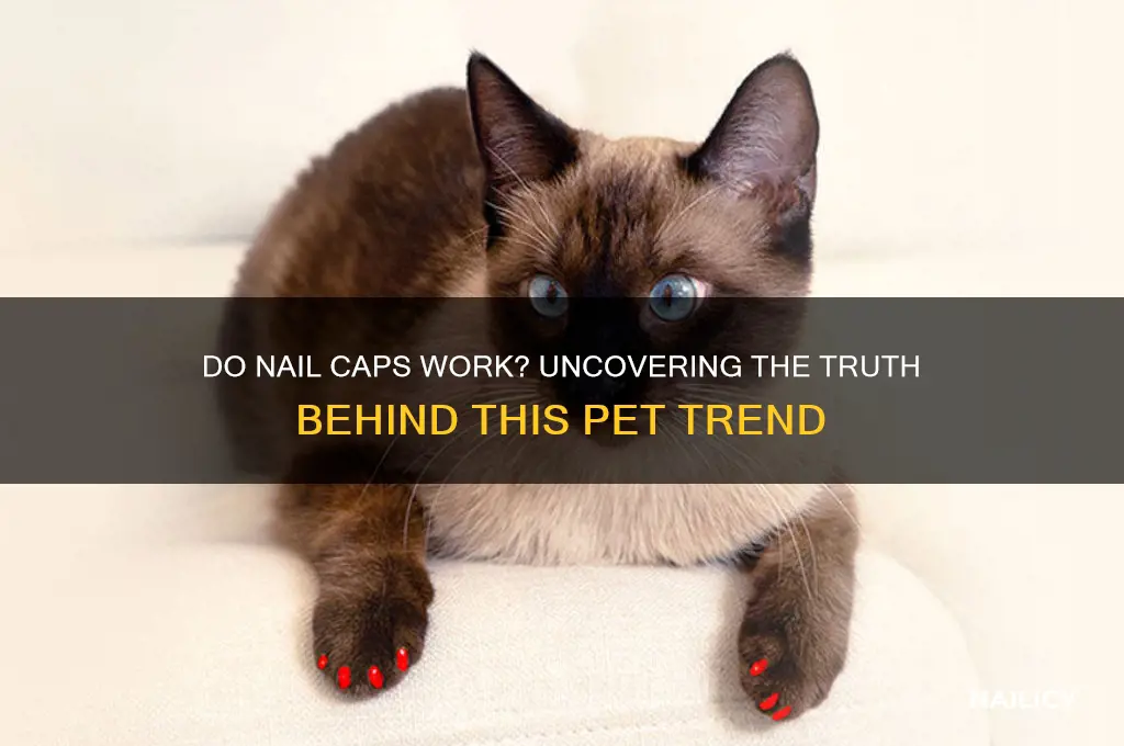 do nail caps actually work