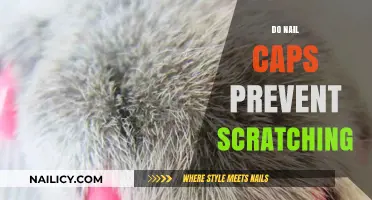 Do Nail Caps Prevent Scratching? A Comprehensive Guide for Pet Owners