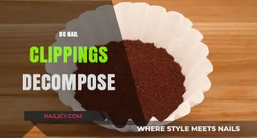 Do Nail Clippings Decompose? Understanding Their Environmental Impact