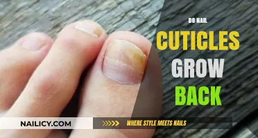 Cuticle Care: Can Cuticles Grow Back?