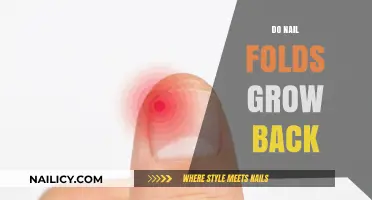 Can Nail Folds Regenerate?