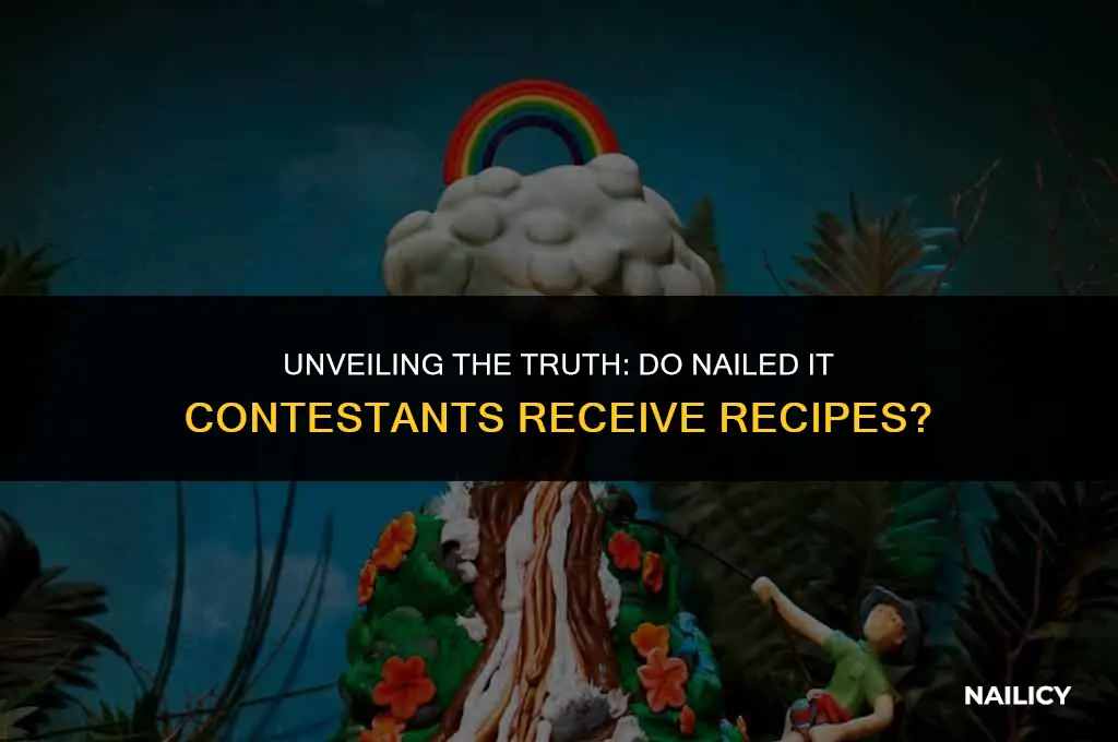 do nailed it contestants get recipes