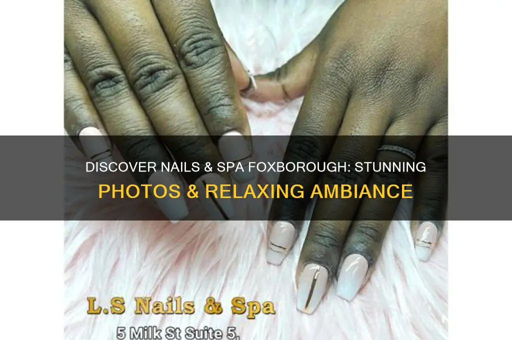 do nails & spa foxborough photos