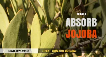 Do Nails Absorb Jojoba Oil? Unlocking Nail Care Benefits