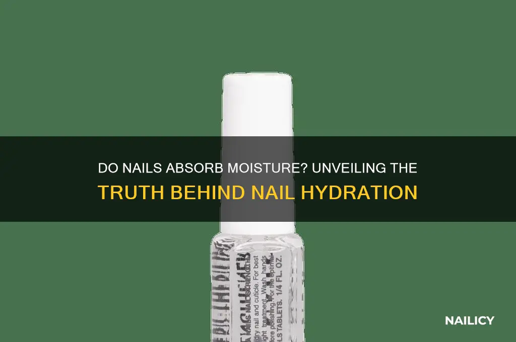 do nails absorb moisture