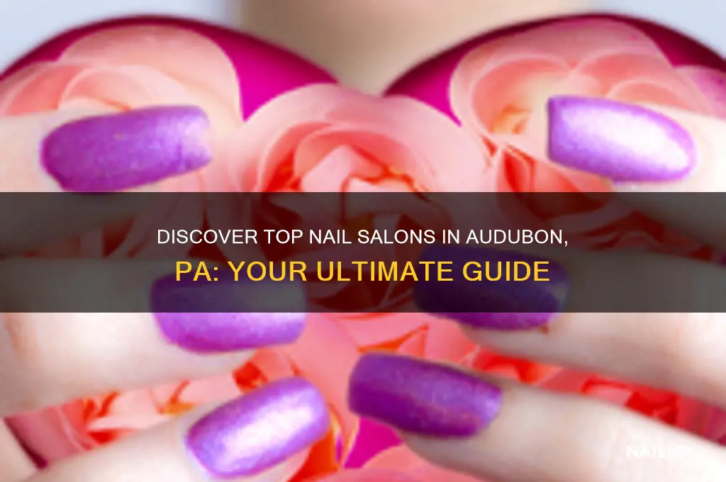 do nails audubon pa
