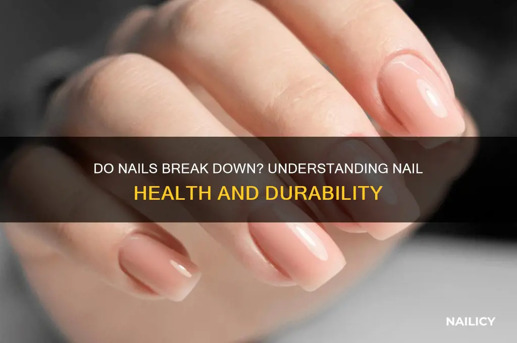 do nails break down