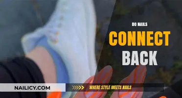 Do Nails Connect Back? Unraveling the Myth and Science Behind It