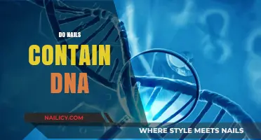 Do Nails Contain DNA? Unveiling the Truth Behind Nail Genetics