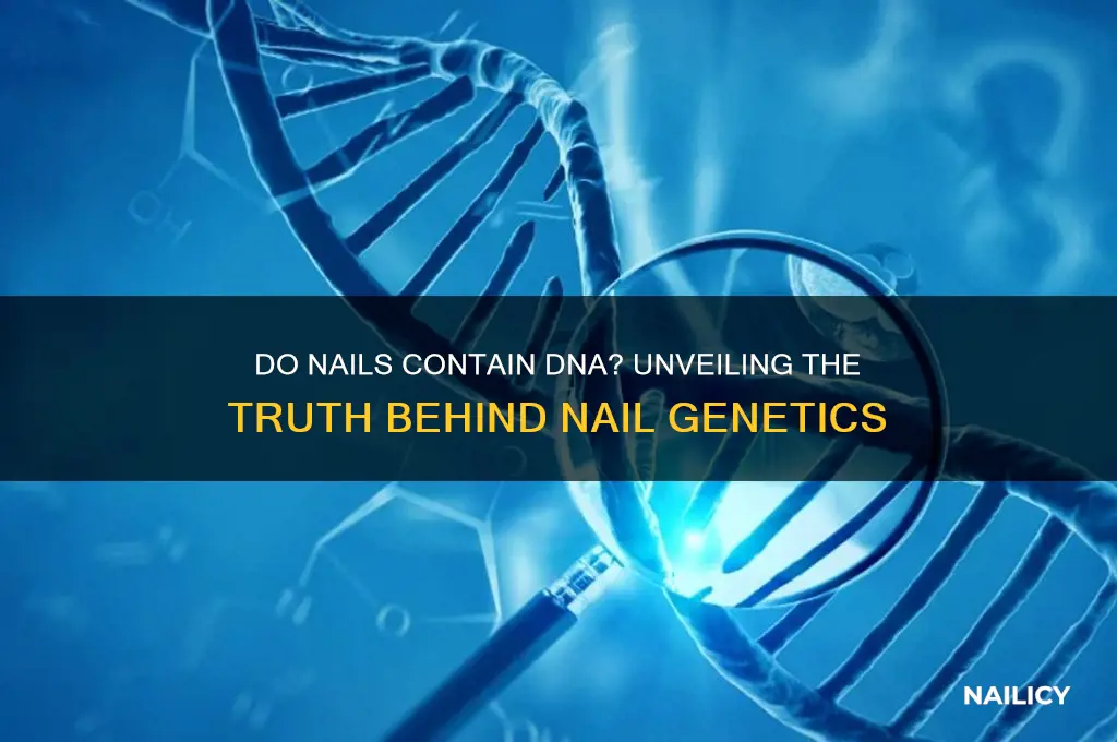 do nails contain dna