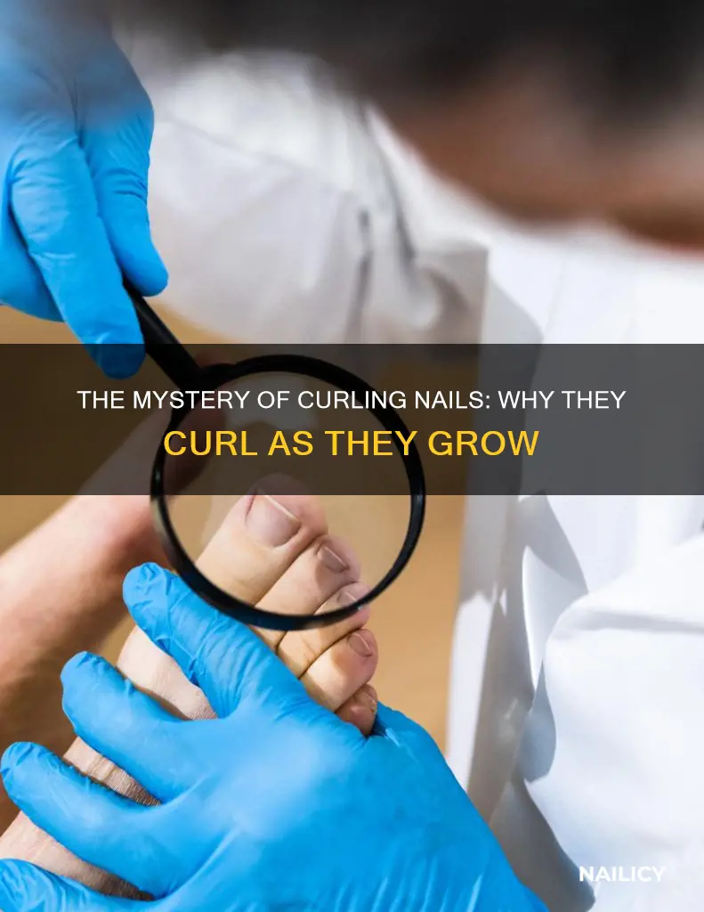 do nails curl when they grow long