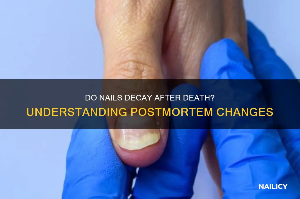 do nails decay after death