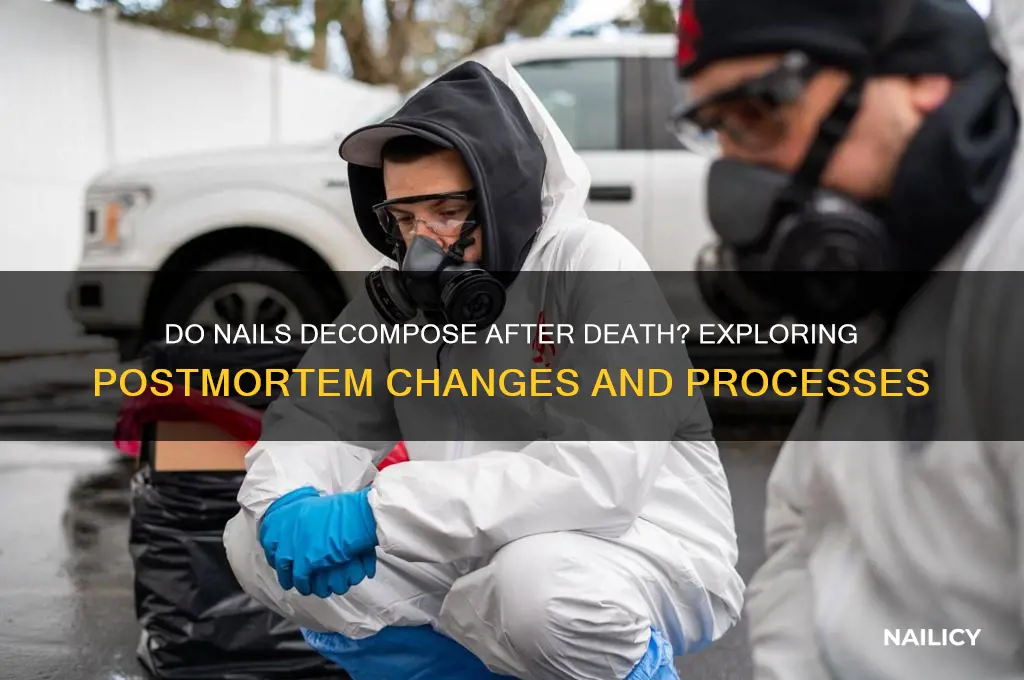 do nails decompose after death