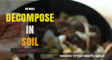 Do Nails Decompose in Soil? Uncovering the Truth About Nail Biodegradability