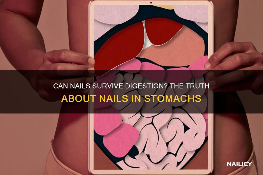 do nails degrade in stomach