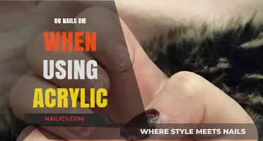 The Truth About Acrylic Nails: Do They Harm Your Natural Nails?