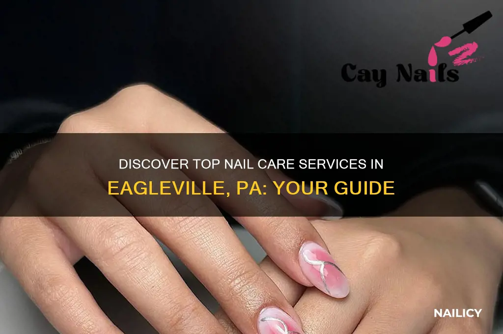 do nails eagleville pa
