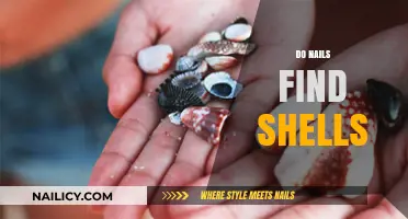Do Nails Find Shells? Unraveling the Myth and Reality