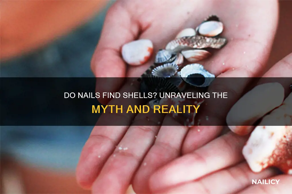 do nails find shells