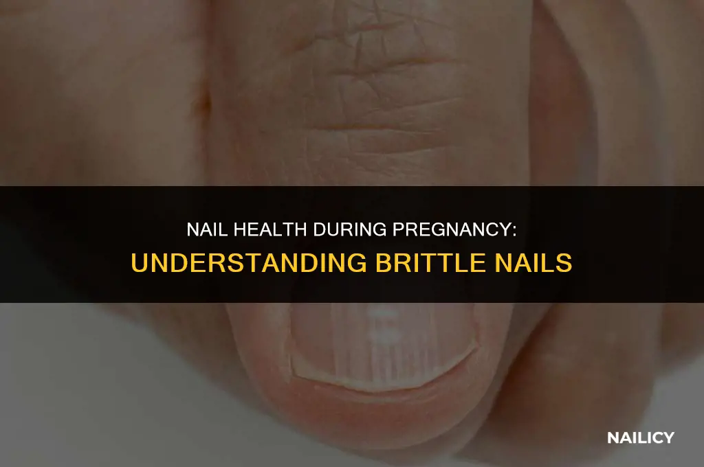 do nails get brittle when pregnant