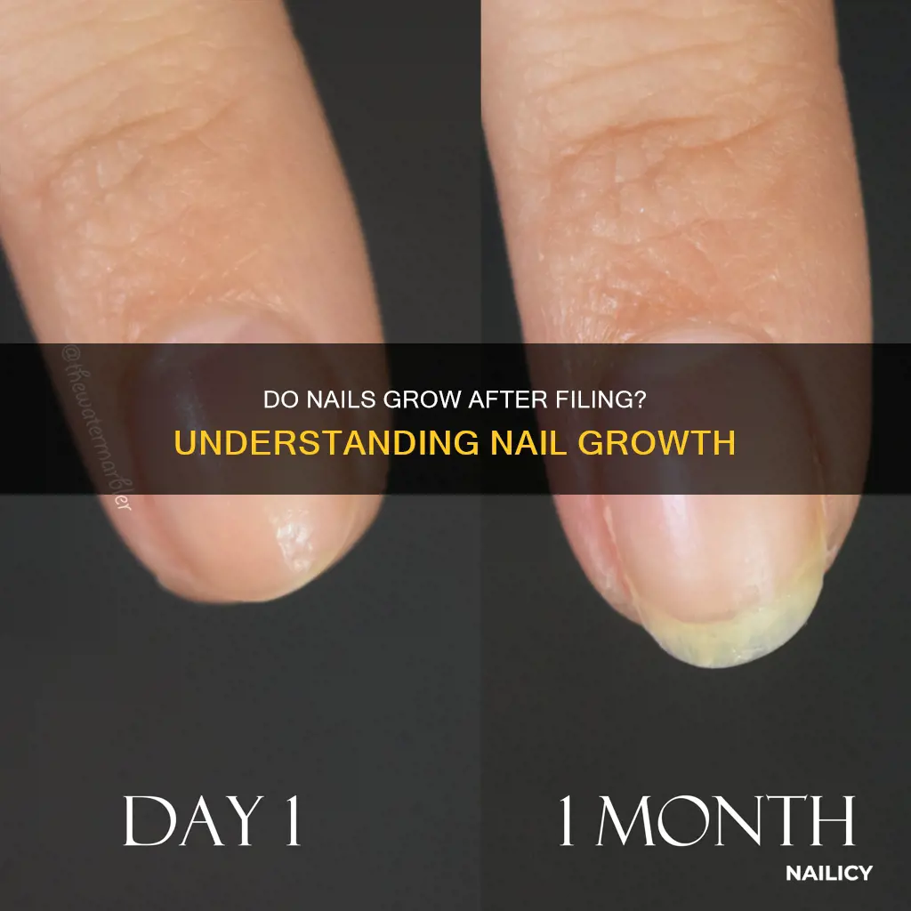 do nails grow after filinhg