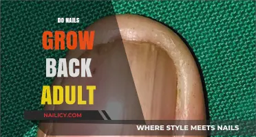 Nail Growth: Can Adults Regrow Nails?