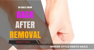 Nail Removal: Will Nails Grow Back?