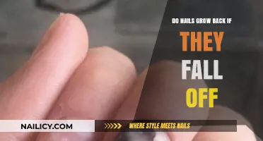 Will Nails Grow Back After Falling Off?